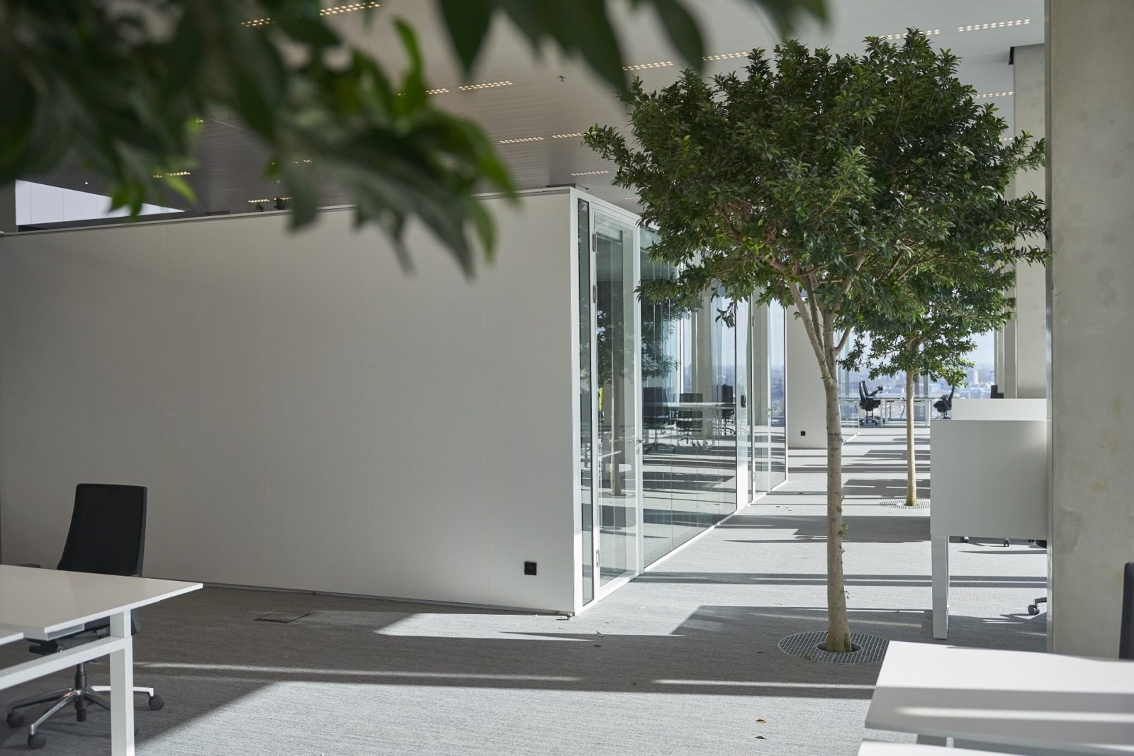 Panorama Office Exterior